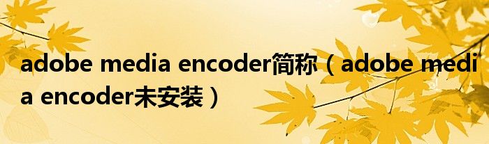 adobe media encoder简称(adobe media encoder未安装)