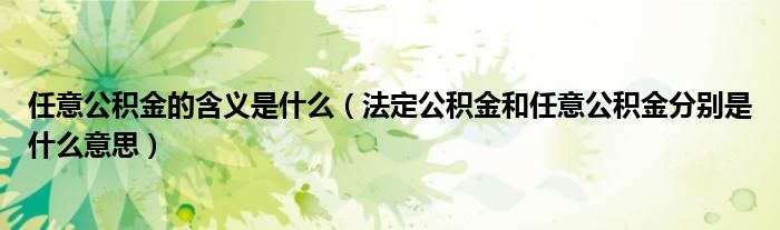 任意公积金的含义是什么(法定公积金和任意公积金分别是什么意思)