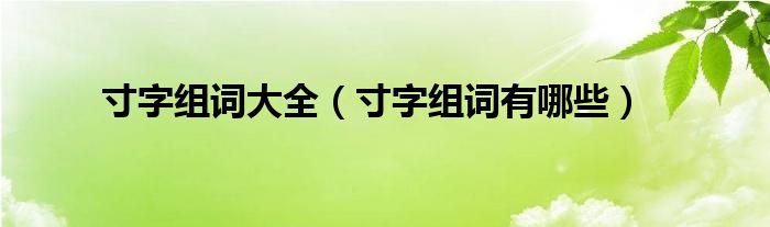 寸字组词大全(寸字组词有哪些)