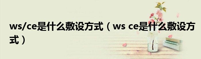 ws/ce是什么敷设方式(ws ce是什么敷设方式)