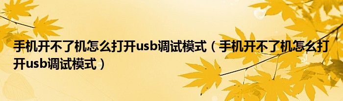 手机开不了机怎么打开usb调试模式(手机开不了机怎么打开usb调试模式)