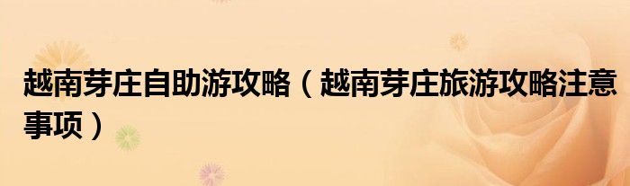 越南芽庄自助游攻略(越南芽庄旅游攻略注意事项)
