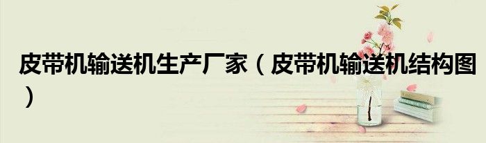皮带机输送机生产厂家(皮带机输送机结构图)