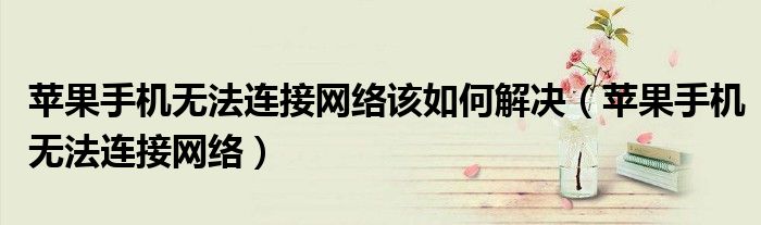 苹果手机无法连接网络该如何解决(苹果手机无法连接网络)
