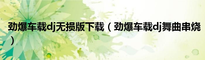 劲爆车载dj无损版下载(劲爆车载dj舞曲串烧)