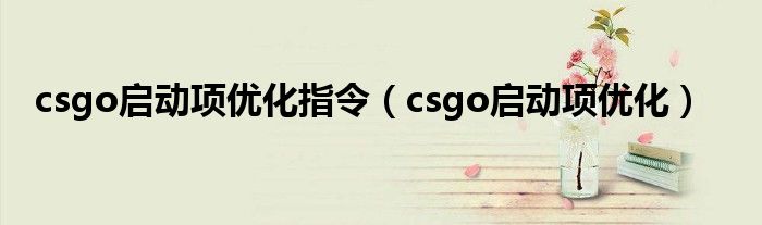 csgo启动项优化指令(csgo启动项优化)
