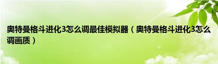 奥特曼格斗进化3怎么调最佳模拟器(奥特曼格斗进化3怎么调画质)