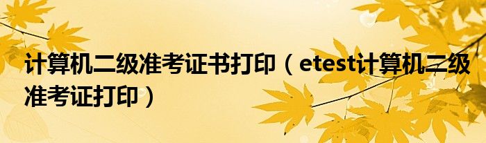 计算机二级准考证书打印(etest计算机二级准考证打印)