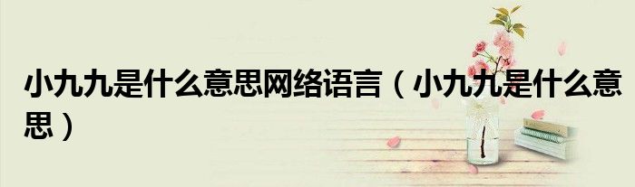 小九九是什么意思网络语言(小九九是什么意思)