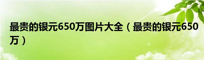 最贵的银元650万图片大全(最贵的银元650万)