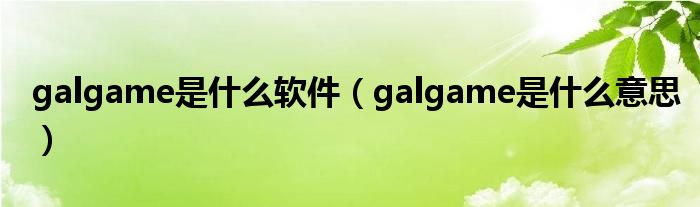 galgame是什么软件（galgame是什么意思）