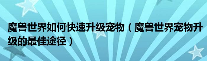 魔兽世界如何快速升级宠物(魔兽世界宠物升级的最佳途径)