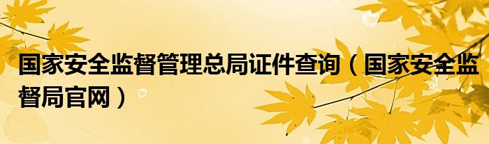 国家安全监督管理总局证件查询(国家安全监督局官网)