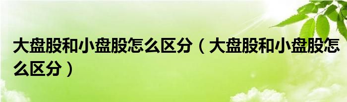 大盘股和小盘股怎么区分(大盘股和小盘股怎么区分)