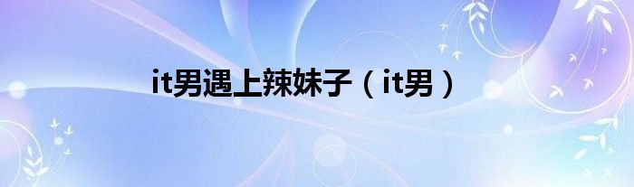 it男遇上辣妹子(it男)