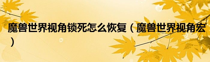 魔兽世界视角锁死怎么恢复(魔兽世界视角宏)