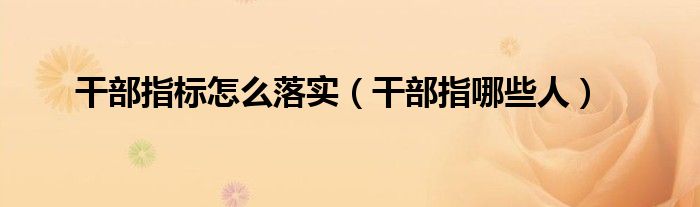 干部指标怎么落实(干部指哪些人)