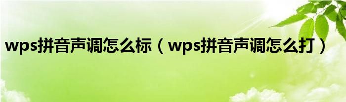 wps拼音声调怎么标(wps拼音声调怎么打)