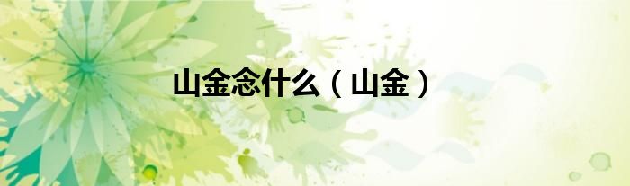山金念什么(山金)