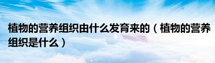 植物的营养组织由什么发育来的(植物的营养组织是什么)
