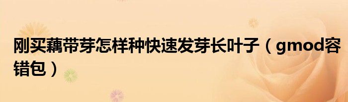 刚买藕带芽怎样种快速发芽长叶子(gmod容错包)