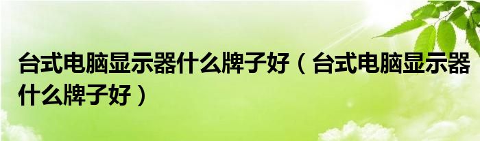 台式电脑显示器什么牌子好(台式电脑显示器什么牌子好)