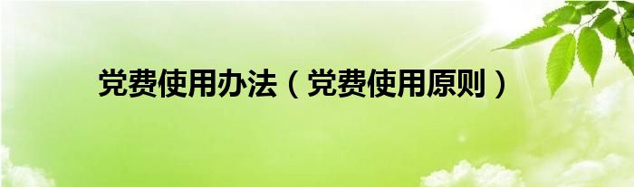 党费使用办法(党费使用原则)