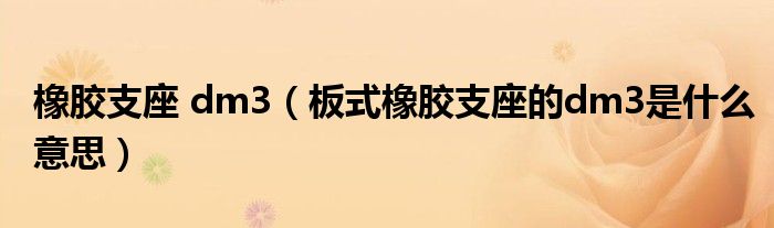 橡胶支座 dm3(板式橡胶支座的dm3是什么意思)