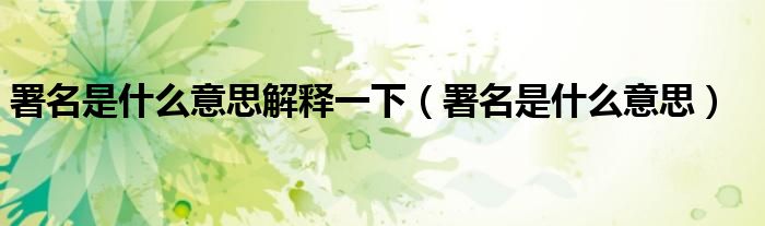 署名是什么意思解释一下(署名是什么意思)