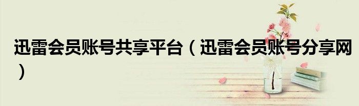 迅雷会员账号共享平台(迅雷会员账号分享网)
