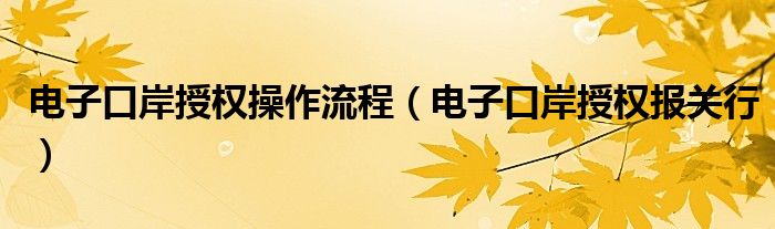 电子口岸授权操作流程(电子口岸授权报关行)