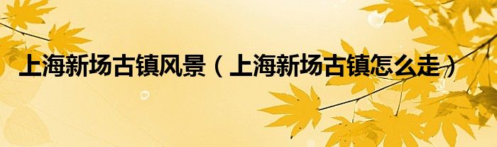 上海新场古镇风景(上海新场古镇怎么走)