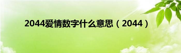 2044爱情数字什么意思(2044)