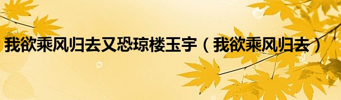 我欲乘风归去又恐琼楼玉宇(我欲乘风归去)
