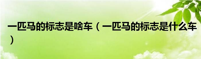 一匹马的标志是啥车(一匹马的标志是什么车)