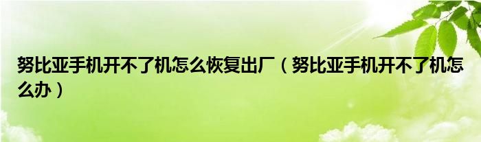 努比亚手机开不了机怎么恢复出厂(努比亚手机开不了机怎么办)