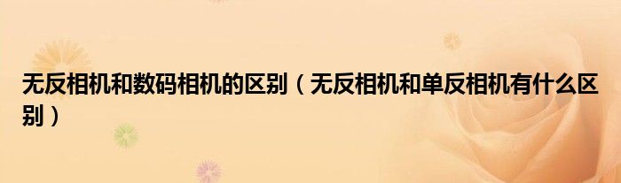 无反相机和数码相机的区别(无反相机和单反相机有什么区别)