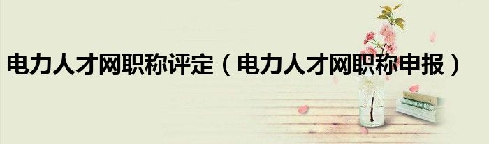 电力人才网职称评定(电力人才网职称申报)