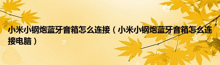 小米小钢炮蓝牙音箱怎么连接(小米小钢炮蓝牙音箱怎么连接电脑)