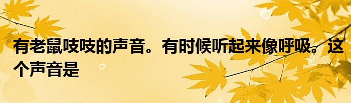 有老鼠吱吱的声音。有时候听起来像呼吸。这个声音是