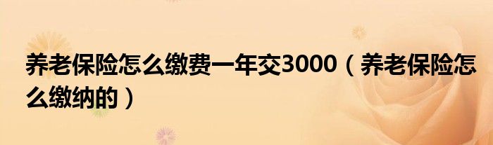 养老保险怎么缴费一年交3000(养老保险怎么缴纳的)