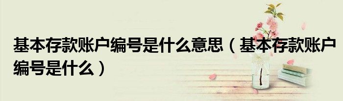 基本存款账户编号是什么意思(基本存款账户编号是什么)