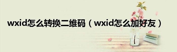 wxid怎么转换二维码(wxid怎么加好友)