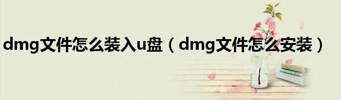 dmg文件怎么装入u盘(dmg文件怎么安装)