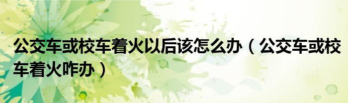 公交车或校车着火以后该怎么办(公交车或校车着火咋办)