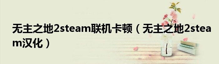 无主之地2steam联机卡顿(无主之地2steam汉化)