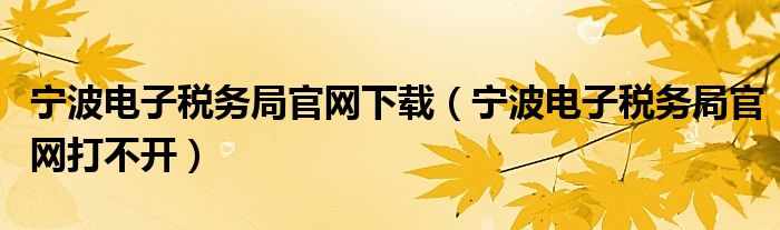 宁波电子税务局官网下载(宁波电子税务局官网打不开)