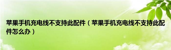 苹果手机充电线不支持此配件(苹果手机充电线不支持此配件怎么办)