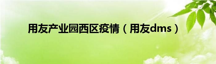 用友产业园西区疫情(用友dms)