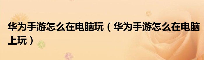 华为手游怎么在电脑玩(华为手游怎么在电脑上玩)